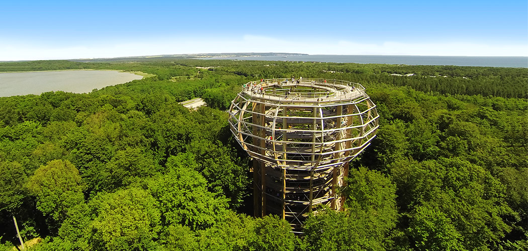 Naturerbe Zentrum Rügen (Baumwipfelpfad)