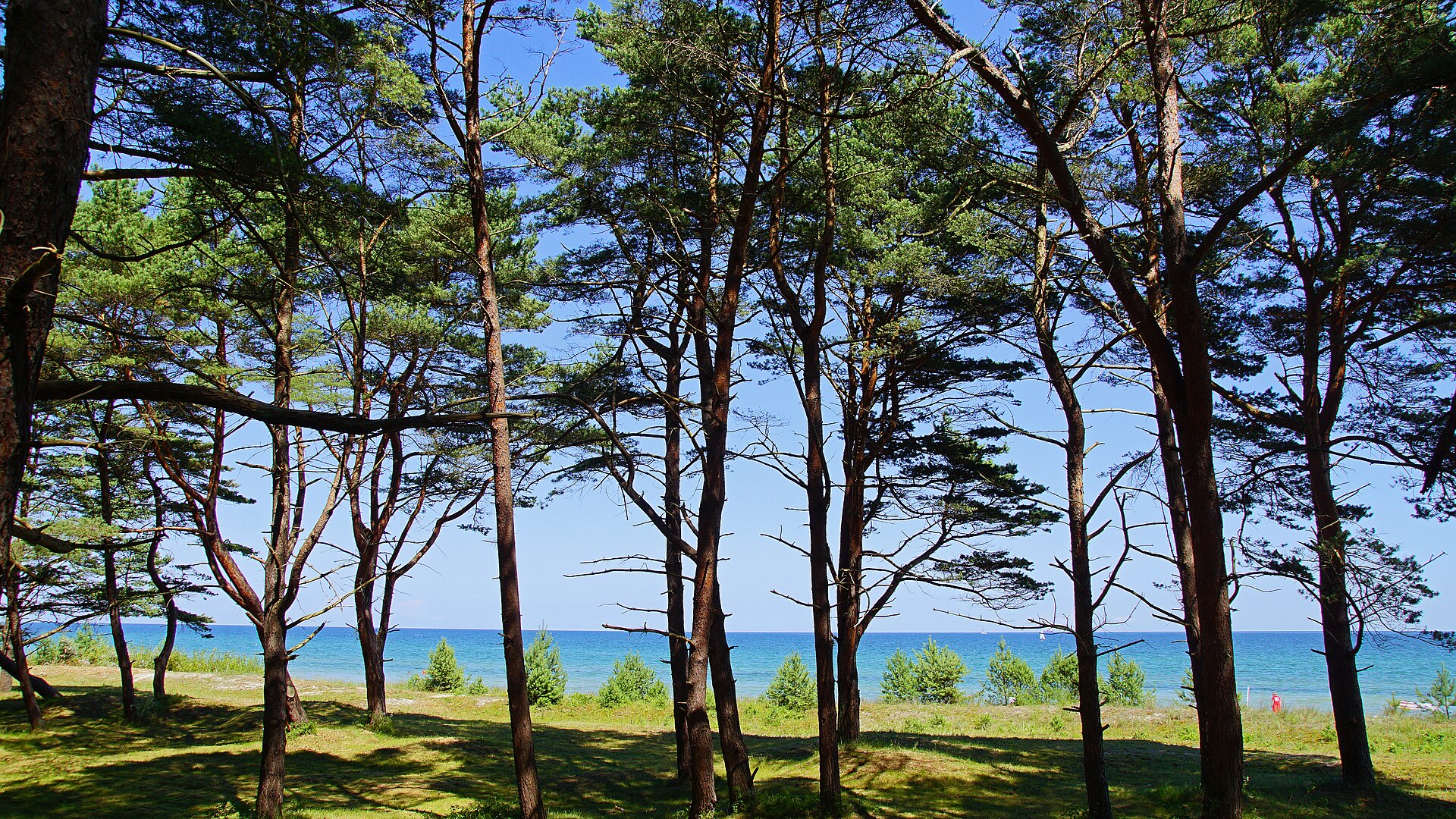 Camping Prora • Rügen