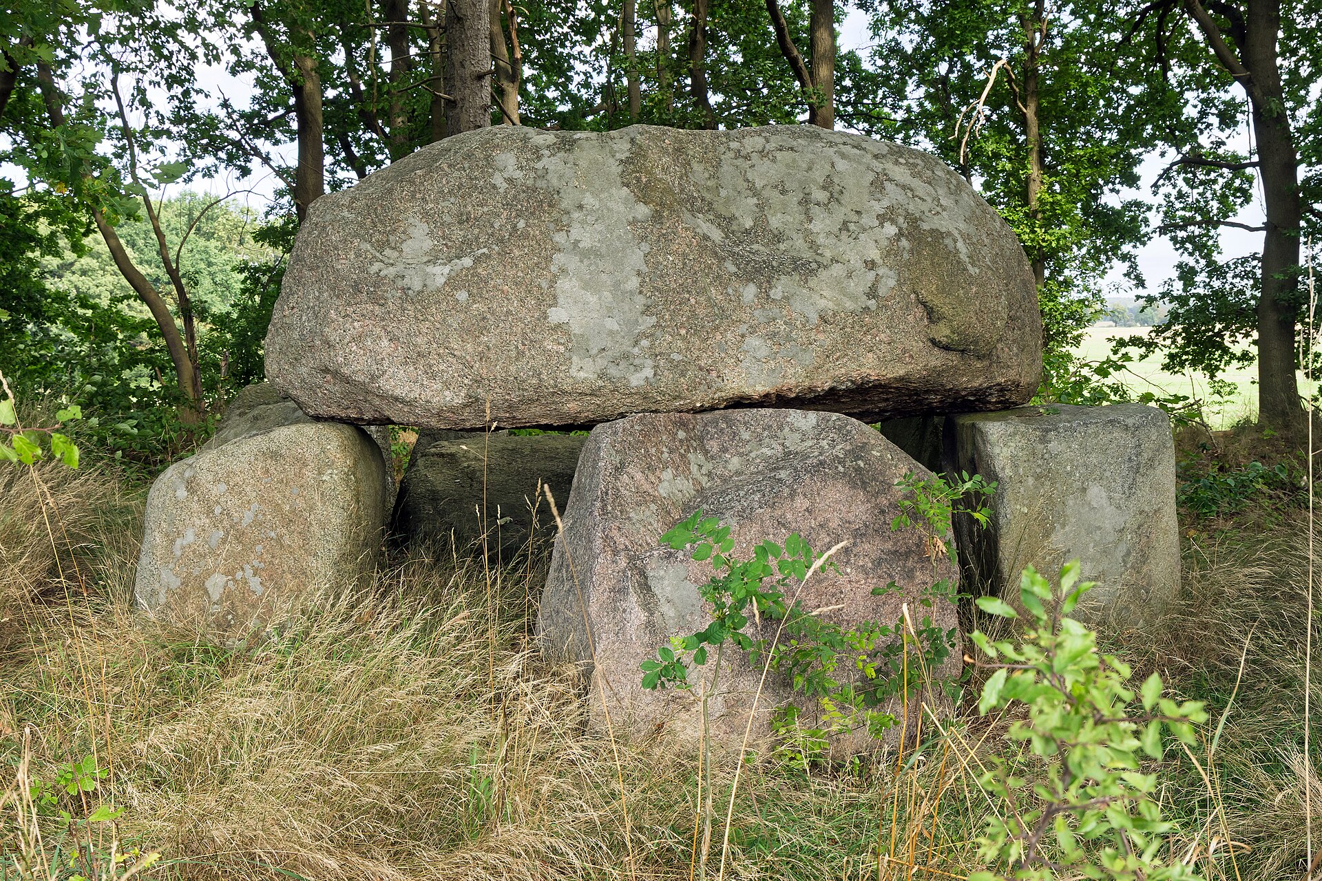 Großsteingrab Lonvitz 1